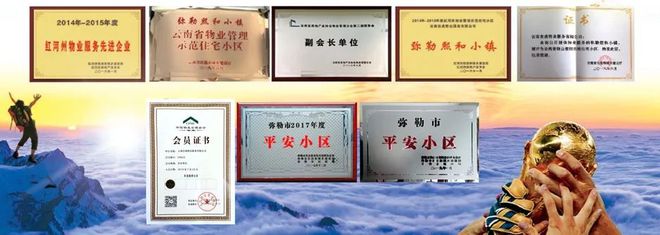 吉成·大宸懿景 铝模技术施工实录！雷火电竞(图10)