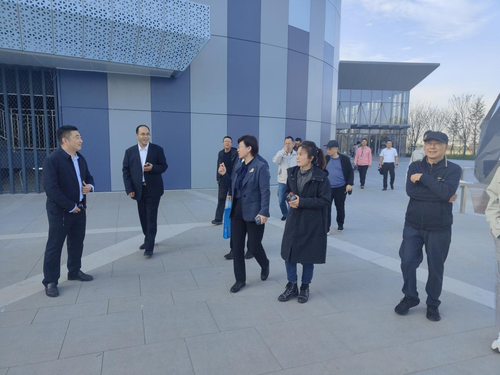 江苏公司太仓冰雪世界项目顺利通过“中国钢结构金奖”现雷火电竞场评审(图2)